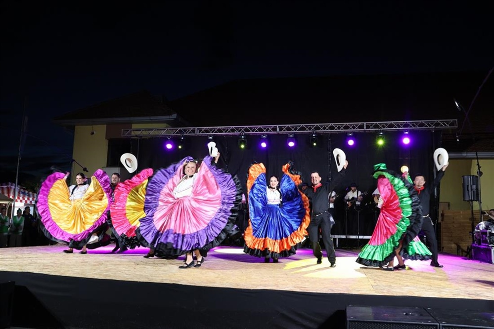 Folklorni festival COFA donio svijet u srce Međimurja – Posavec: Folklor nije samo ples i glazba, to je živi dokaz identiteta, povijesti i zajedništva