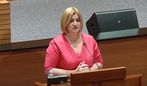 Zastupnica Curiš Krok upozorila u Saboru: Romobili postaju sve opasnije prijevozno sredstvo, nužna hitna regulacija