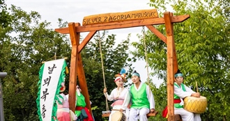 Završila COFA, festival posebne energije: Nastupili folkloraši iz Grčke, Južne Koreje, Kostarike i SAD-a