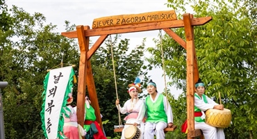 Završila COFA, festival posebne energije: Nastupili folkloraši iz Grčke, Južne Koreje, Kostarike i SAD-a