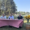 Ljeto na Otoku mladosti u Ludbregu: bogat program za sve generacije