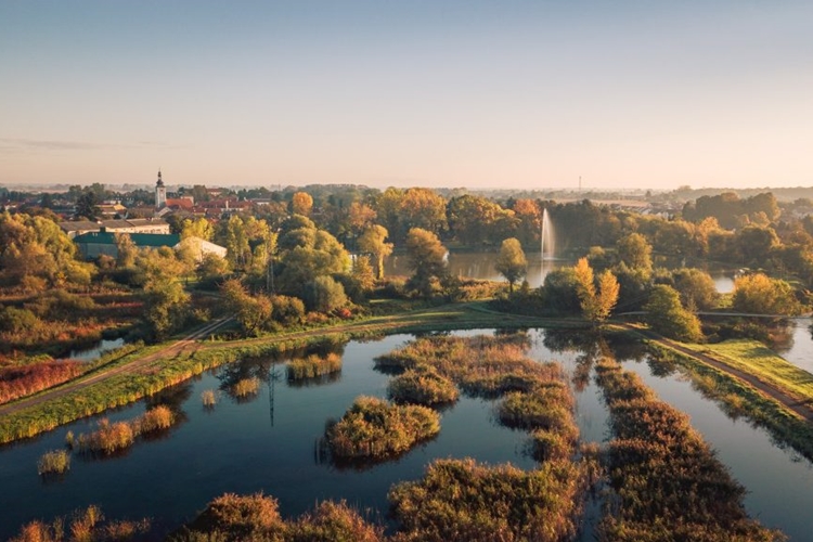 Nastavlja se Ljeto u Ludbregu: Na Otoku mladosti stand-up show, pub kviz i dobra glazba