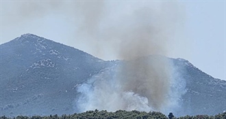 Izbio požar na Ugljanu: Na terenu vatrogasci i dva kanadera