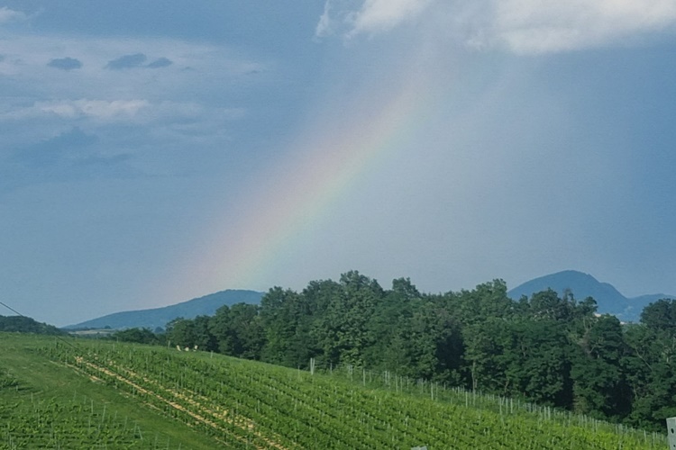Sunčana i vruća subota u unutrašnjosti - navečer lokalni pljuskovi!