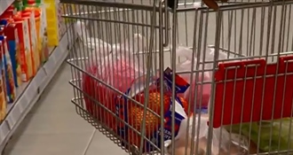 Cijene hrane i pića lete u nebo - Hrvatska ima najvišu inflaciju u cijeloj eurozoni!