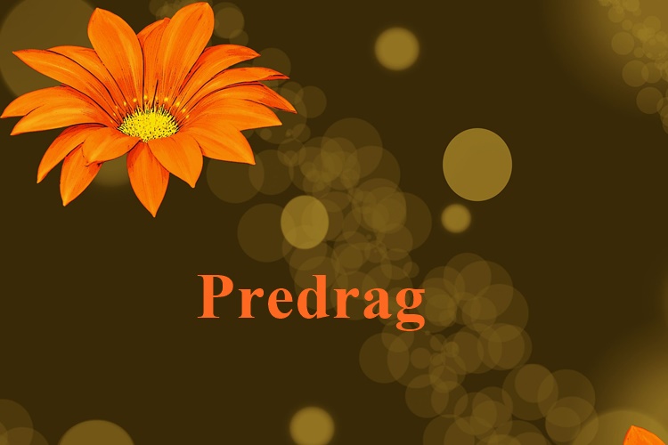 Danas slavi Predrag, ne zaboravite mu čestitati!