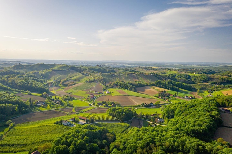 Zabava za sve generacije: "Ljeto na Brijegu" stiže u Vinograde Ludbreške