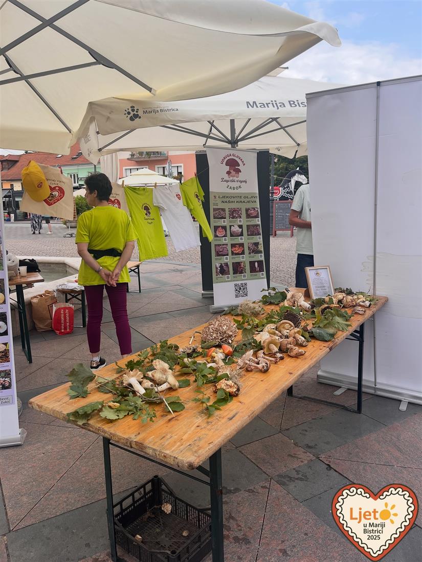 Izložba gljiva u Mariji Bistrici privukla brojne posjetitelje i ljubitelje prirode