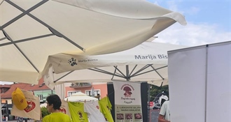 Izložba gljiva u Mariji Bistrici privukla brojne posjetitelje i ljubitelje prirode