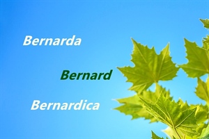 Danas je njihov dan – Bernard, Samuel i Branko!