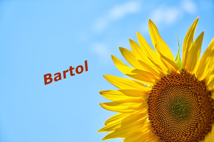 Danas imendan slavi Bartol!