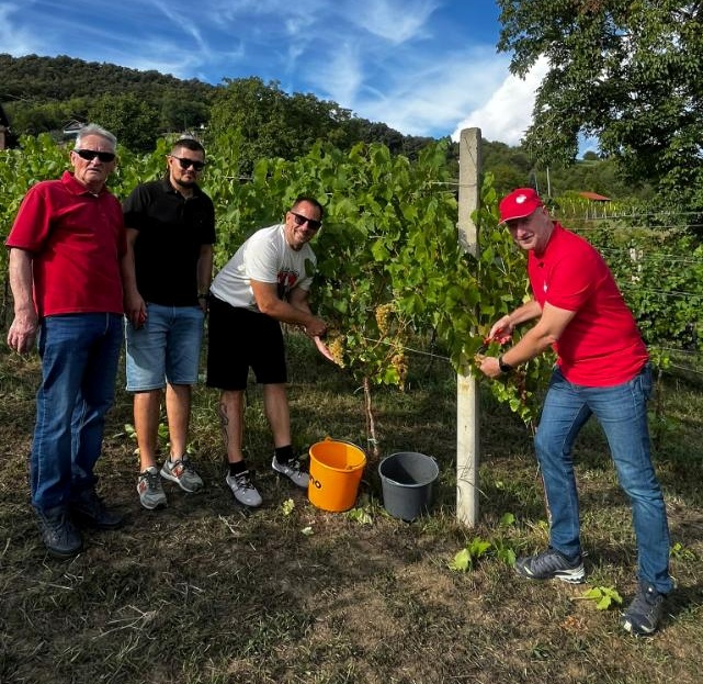 Župan Kolar u berbi Sokola: “Sokol nije samo vino, nego priča o identitetu Zagorja”