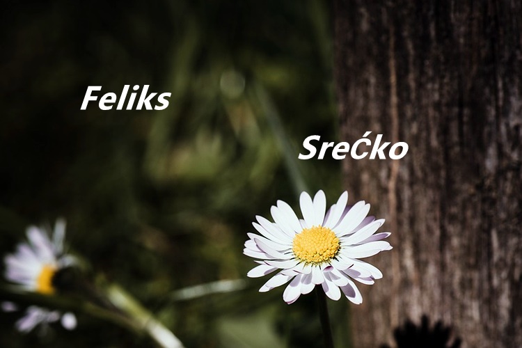 Subota je njihov dan jer danas im je imendan. Sve najljepše!
