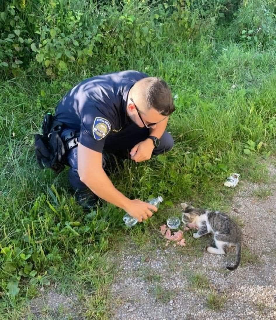 Hrvatski policajac odvojio užinu za napuštenog mačića – fotografija oduševila tisuće