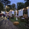 U Vrbovcu otvoren 44. Festival „Kaj su jeli naši stari“: U prvom planu pera, luk i glazbene zvijezde