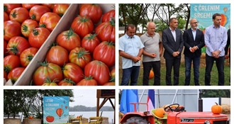 Manifestacija koja miriše na domaće: 1. Festival rajčice u Prelogu okupio brojne posjetitelje