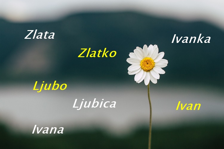 DANAS JE NJIHOV DAN Evo tko ima imendan!