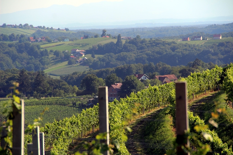 VRIJEME DANAS: Pretežno sunčano uz povremenu naoblaku