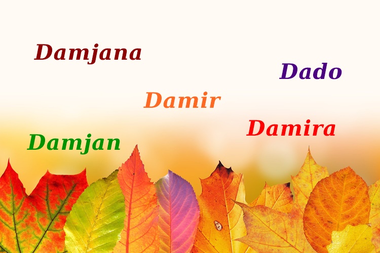 NJIHOV JE DAN – imendan slave Damjana, Damjan, Damira, Damir i Dado