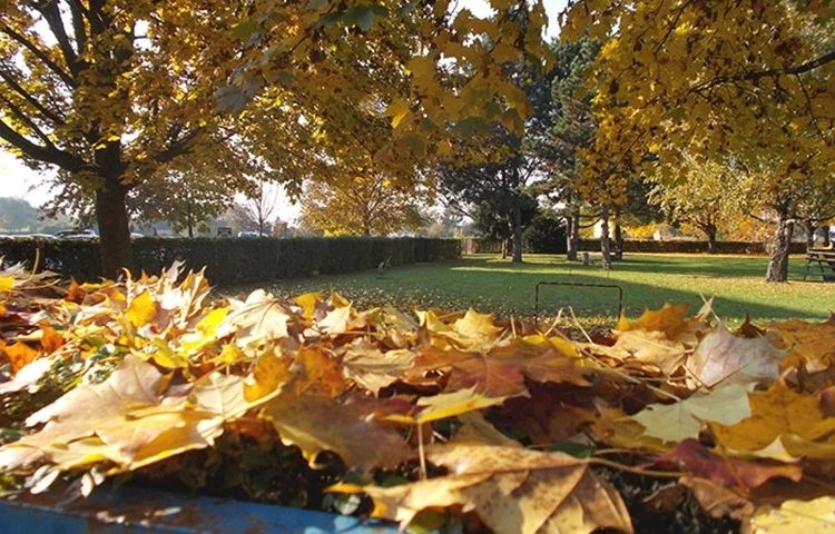 Jutarnja svježina i sunčano poslijepodne s ugodnim temperaturama