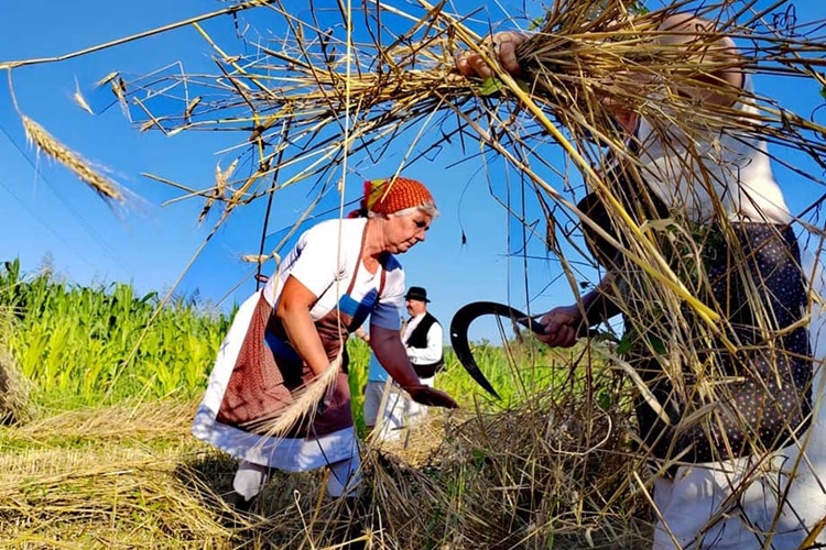 Obilježava se Svjetski dan ruralnih žena: nevidljive junakinje - čuvarice zemlje, tradicije i obitelji!