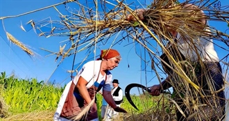 Obilježava se Svjetski dan ruralnih žena: nevidljive junakinje - čuvarice zemlje, tradicije i obitelji!