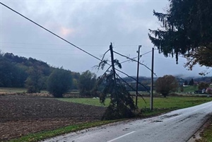 Nevrijeme rušilo stabla i izazvalo poplave, idućih dana novi val s kišom
