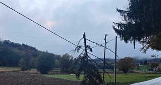 Nevrijeme rušilo stabla i izazvalo poplave, idućih dana novi val s kišom