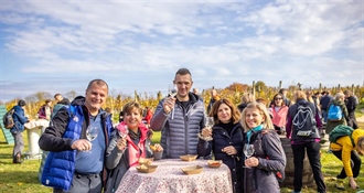Uskoro Wine & Walk u Ludbregu - spoj prirode, vina i dobre zabave