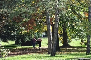 Pretežno sunčano u većini krajeva, ponegdje malo kiše - stabilno i ugodno za kraj listopada