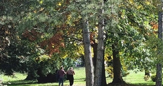 Pretežno sunčano u većini krajeva, ponegdje malo kiše - stabilno i ugodno za kraj listopada