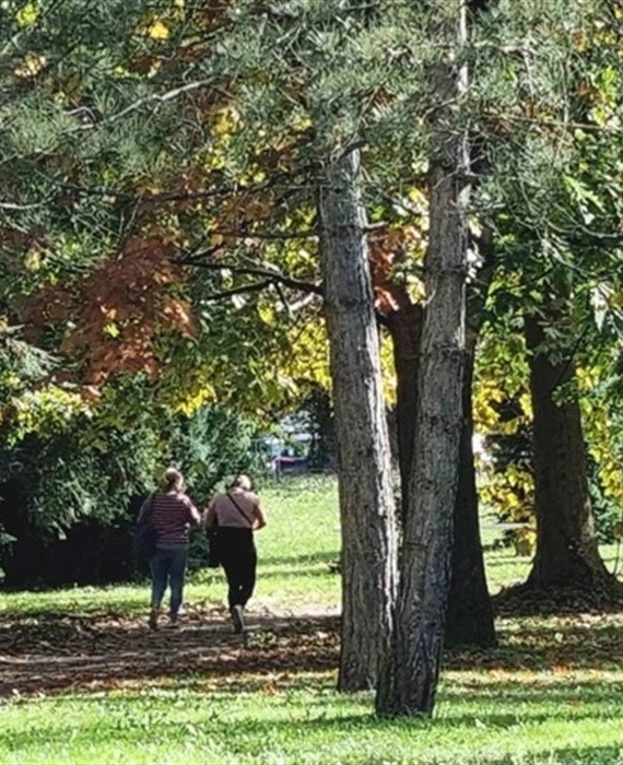 Pretežno sunčano u većini krajeva, ponegdje malo kiše - stabilno i ugodno za kraj listopada