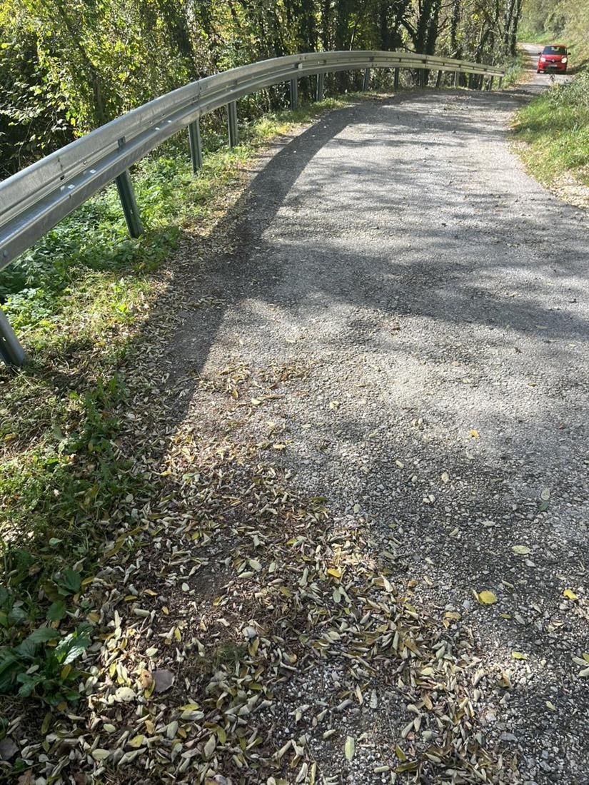 Radno u Jesenju: Postavljena zaštitna ograda i započelo jesensko malčiranje