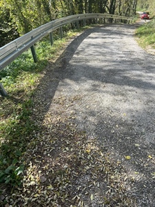 Radno u Jesenju: Postavljena zaštitna ograda i započelo jesensko malčiranje