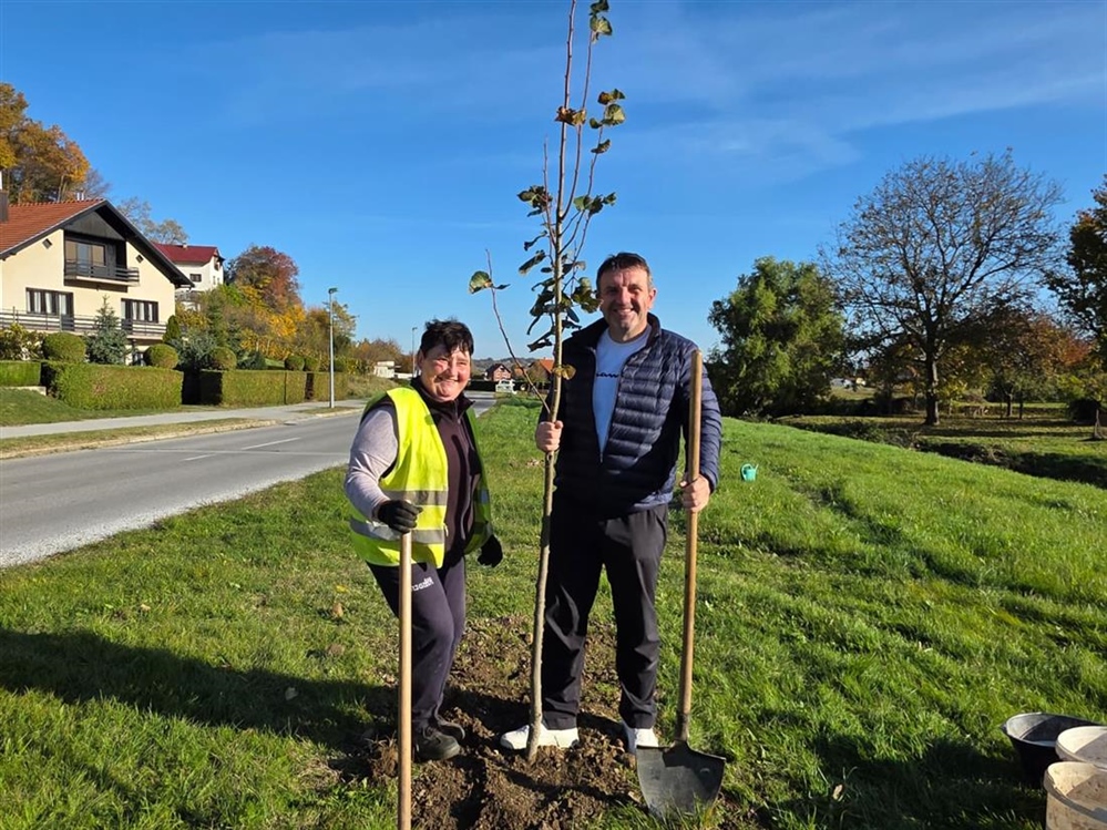 Lepoglava nastavlja projekt "Hrvatska prirodno tvoja" - posađeno 30 novih lipa u Ulici Alojzija Stepinca