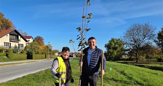 Lepoglava nastavlja projekt "Hrvatska prirodno tvoja" - posađeno 30 novih lipa u Ulici Alojzija Stepinca