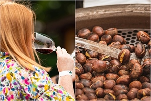 “Gdje vatra pucketa, a vino teče!”: Uskoro u Ludbregu Kestenijada & Martinje 2025.