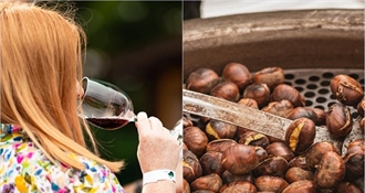 “Gdje vatra pucketa, a vino teče!”: Uskoro u Ludbregu Kestenijada & Martinje 2025.