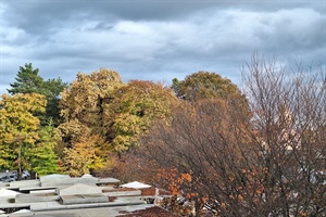 Četvrtak donosi promjenjivo vrijeme – kiša, pljuskovi, vjetar i loša bioprognoza!