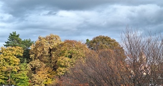 Četvrtak donosi promjenjivo vrijeme – kiša, pljuskovi, vjetar i loša bioprognoza!