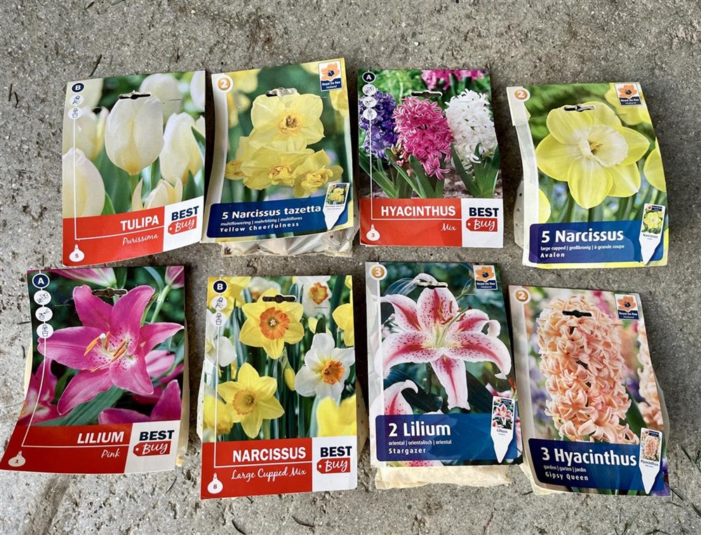 JU Zagorje zeleno: Sadnjom lukovica u jesen pomažemo oprašivačima na proljeće