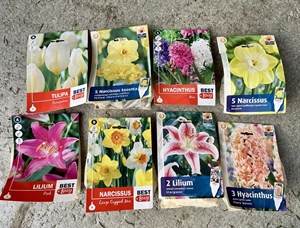 JU Zagorje zeleno: Sadnjom lukovica u jesen pomažemo oprašivačima na proljeće