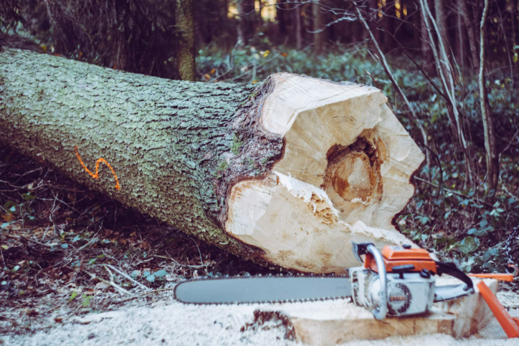 Pripreme za zimu u punom jeku: plin i struja poskupjeli, drva još uvijek povoljnija opcija?