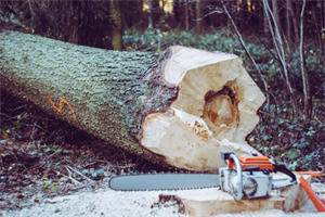 Pripreme za zimu u punom jeku: plin i struja poskupjeli, drva još uvijek povoljnija opcija?