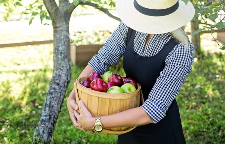 Međimurska županija dodjeljuje potpore male vrijednosti za promociju i prodaju poljoprivrednih proizvoda