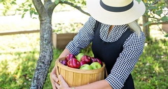 Međimurska županija dodjeljuje potpore male vrijednosti za promociju i prodaju poljoprivrednih proizvoda