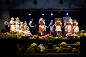 Ne propustite najsvečaniji dio proslave Dana općine Donja Voća - evo što vas očekuje