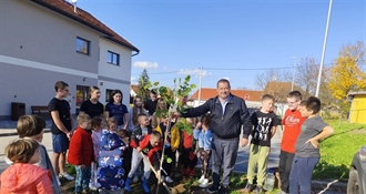Na zelenom otoku u Dubravici posađena lipa, u sadnji sudjelovala vrtićka i školska djeca te načelnik Štritof