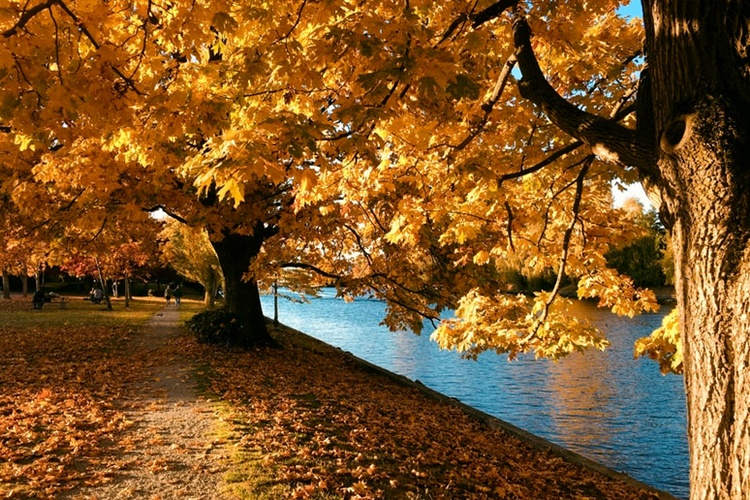 Ugodan jesenski dan pred nama: pretežno sunčano i mirno, uz mjestimičnu maglu