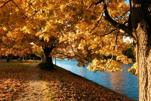 Ugodan jesenski dan pred nama: pretežno sunčano i mirno, uz mjestimičnu maglu